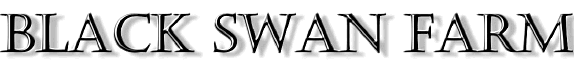 Welcome to Black Swan Farm